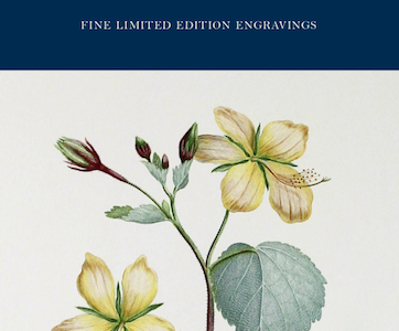 Joseph Banks’ Florilegium